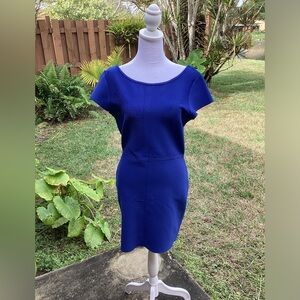 BCBG MAX AZRIA bodycon dress